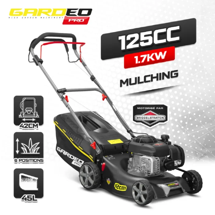 Gardeo Pro 125cc – Image 3