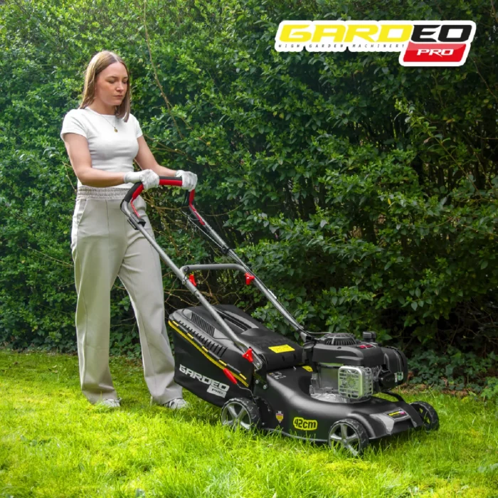 Gardeo Pro 125cc – Image 2